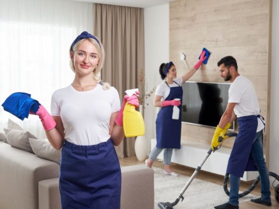 Osnovno pochistvane na doma Sanitexis